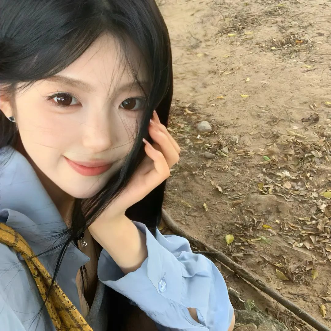 萌鸡小队:萌闯新世界